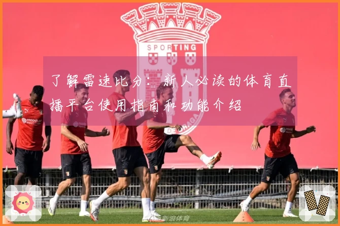 了解雷速比分：新人必读的体育直播平台使用指南和功能介绍